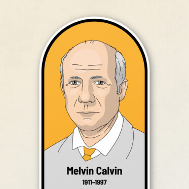 Melvin Calvin
