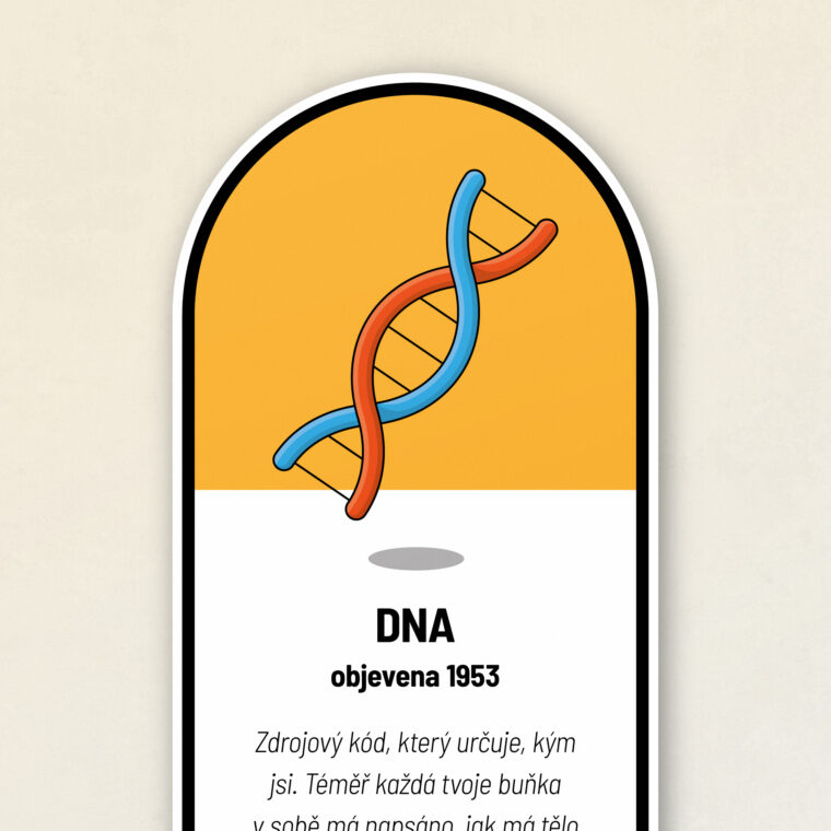 DNA šroubovice