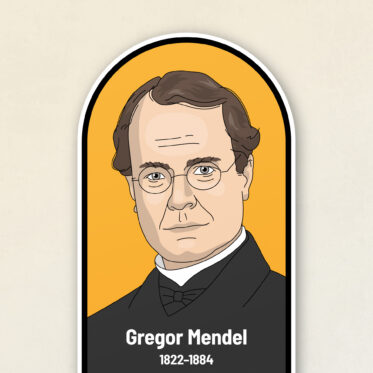 Výzdoba pro školy 30 Gregor Mendel
