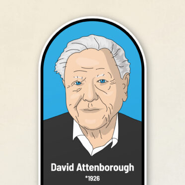 Výzdoba pro školy 25 David Attenborough