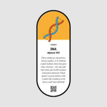 DNA.png